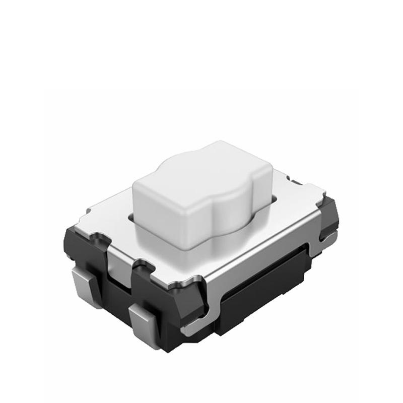 model-image